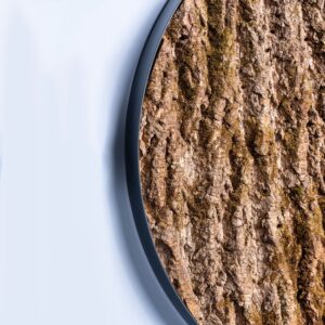 Wandgestaltung Baumrinde von Firma Freund GmbH – pflegeleichte Wandgestaltung mit echter, konservierter Rinde für moderne Innenräume.