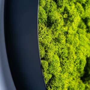 Runde Wandbegrünung der Freund GmbH in einem modernen Flur – großflächige Mooswand für natürliche Akzente und verbesserte Raumakustik.