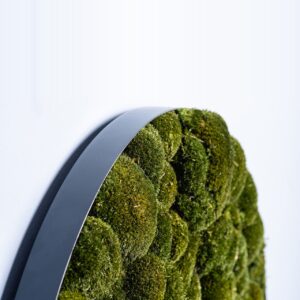 Runde Wandbegrünung der Freund GmbH in einem modernen Flur – großflächige Mooswand für natürliche Akzente und verbesserte Raumakustik.